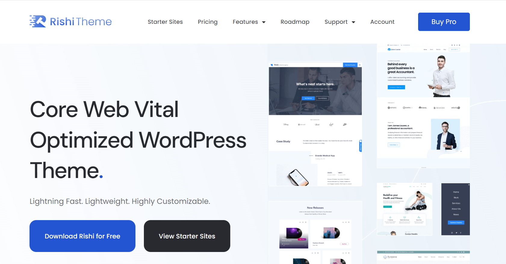Rishi Theme Dashboard Interface
